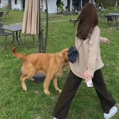 男人的心思2